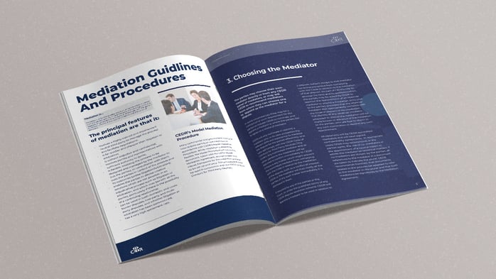 Mediation Guidlines and Procedures 1